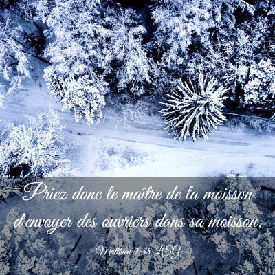 Picture 03 - Matthieu 9:38 LSG - Priez donc le maître de la moisson d'envoyer des - Bible Verse Picture