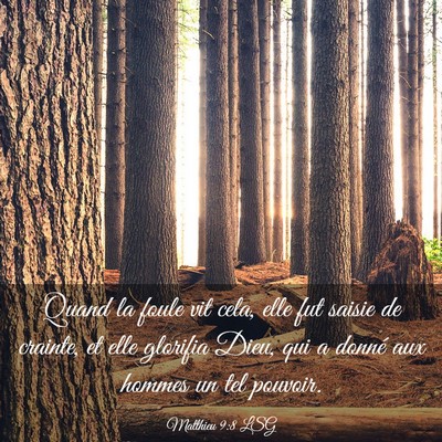 Picture 03 - Matthieu 9:8 LSG - Quand la foule vit cela, elle fut saisie de - Bible Verse Picture