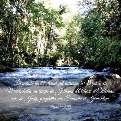 Picture 03 - Michée 1:1 LSG - La parole de l'Eternel fut adressée à Michée, - Bible Verse Picture