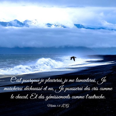 Picture 03 - Michée 1:8 LSG - C'est pourquoi je pleurerai, je me lamenterai, Je - Bible Verse Picture