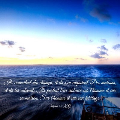 Picture 03 - Michée 2:2 LSG - Ils convoitent des champs, et ils s'en emparent, - Bible Verse Picture