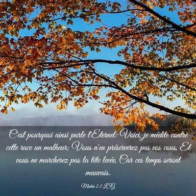 Picture 03 - Michée 2:3 LSG - C'est pourquoi ainsi parle l'Eternel: Voici, je - Bible Verse Picture