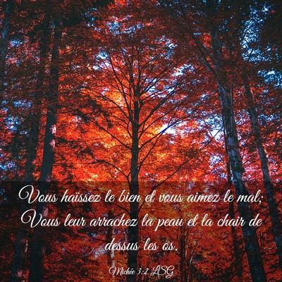 Picture 03 - Michée 3:2 LSG - Vous haïssez le bien et vous aimez le mal; Vous - Bible Verse Picture