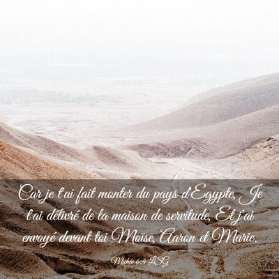Picture 03 - Michée 6:4 LSG - Car je t'ai fait monter du pays d'Egypte, Je t'ai - Bible Verse Picture