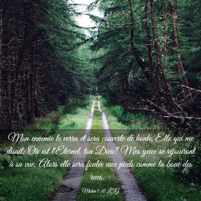 Picture 03 - Michée 7:10 LSG - Mon ennemie le verra et sera couverte de honte, - Bible Verse Picture