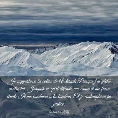 Picture 03 - Michée 7:9 LSG - Je supporterai la colère de l'Eternel, Puisque - Bible Verse Picture