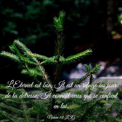 Picture 03 - Nahum 1:7 LSG - L'Eternel est bon, Il est un refuge au jour de la - Bible Verse Picture