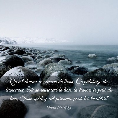 Picture 03 - Nahum 2:11 LSG - Qu'est devenu ce repaire de lions, Ce pâturage - Bible Verse Picture