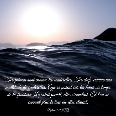 Picture 03 - Nahum 3:17 LSG - Tes princes sont comme les sauterelles, Tes chefs - Bible Verse Picture