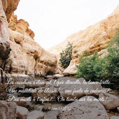 Picture 03 - Nahum 3:3 LSG - Les cavaliers s'élancent, l'épée étincelle, - Bible Verse Picture