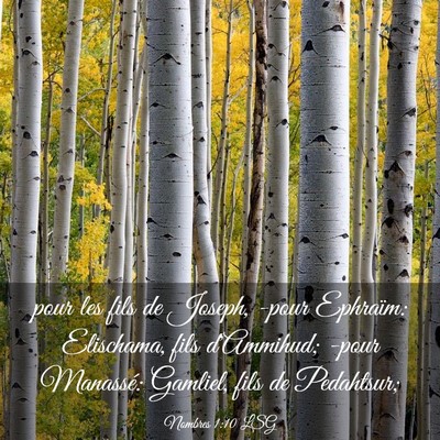 Picture 03 - Nombres 1:10 LSG - pour les fils de Joseph, -pour Ephraïm: - Bible Verse Picture