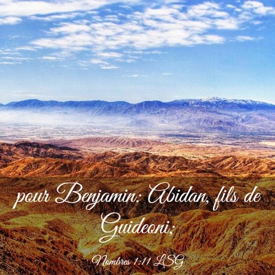Picture 03 - Nombres 1:11 LSG - pour Benjamin: Abidan, fils de - Bible Verse Picture