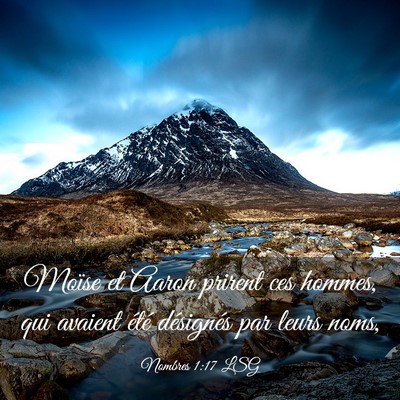 Picture 03 - Nombres 1:17 LSG - Moïse et Aaron prirent ces hommes, qui avaient - Bible Verse Picture