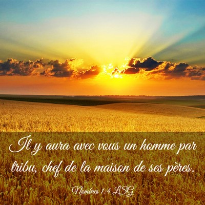 Picture 03 - Nombres 1:4 LSG - Il y aura avec vous un homme par tribu, chef de - Bible Verse Picture