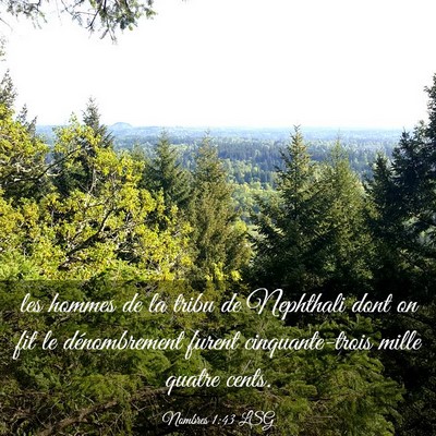 Picture 03 - Nombres 1:43 LSG - les hommes de la tribu de Nephthali dont on fit - Bible Verse Picture
