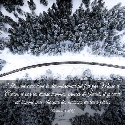 Picture 03 - Nombres 1:44 LSG - Tels sont ceux dont le dénombrement fut fait par - Bible Verse Picture