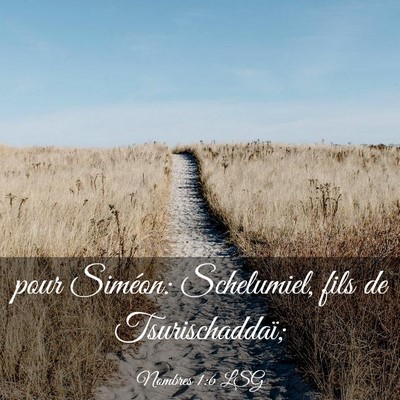 Picture 03 - Nombres 1:6 LSG - pour Siméon: Schelumiel, fils de - Bible Verse Picture