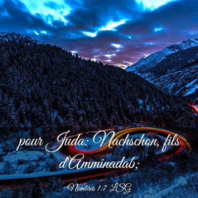 Picture 03 - Nombres 1:7 LSG - pour Juda: Nachschon, fils - Bible Verse Picture
