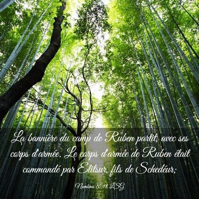 Picture 03 - Nombres 10:18 LSG - La bannière du camp de Ruben partit, avec ses - Bible Verse Picture