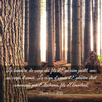 Picture 03 - Nombres 10:22 LSG - La bannière du camp des fils d'Ephraïm partit, - Bible Verse Picture