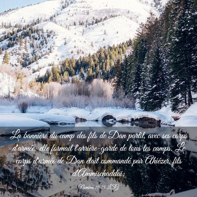 Picture 03 - Nombres 10:25 LSG - La bannière du camp des fils de Dan partit, avec - Bible Verse Picture