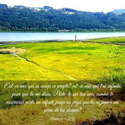 Picture 03 - Nombres 11:12 LSG - Est-ce moi qui ai conçu ce peuple? est-ce moi - Bible Verse Picture