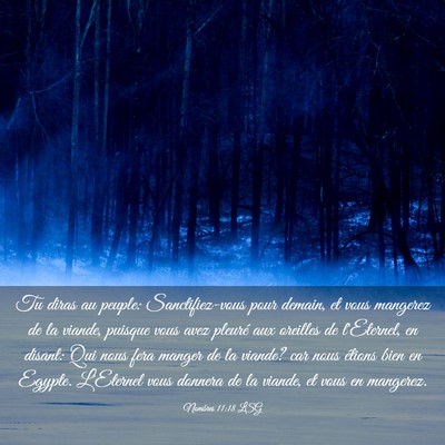 Picture 03 - Nombres 11:18 LSG - Tu diras au peuple: Sanctifiez-vous pour demain, - Bible Verse Picture