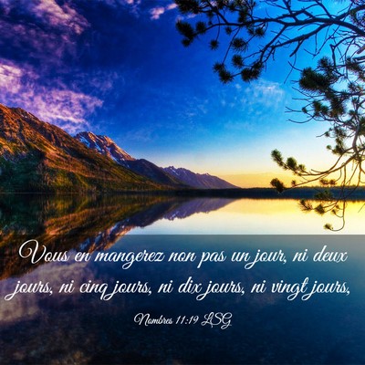 Picture 03 - Nombres 11:19 LSG - Vous en mangerez non pas un jour, ni deux jours, - Bible Verse Picture