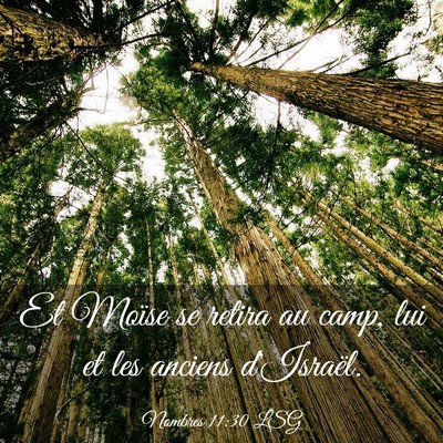 Picture 03 - Nombres 11:30 LSG - Et Moïse se retira au camp, lui et les anciens - Bible Verse Picture