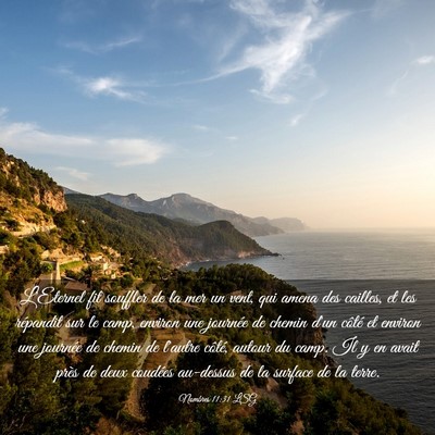Picture 03 - Nombres 11:31 LSG - L'Eternel fit souffler de la mer un vent, qui - Bible Verse Picture
