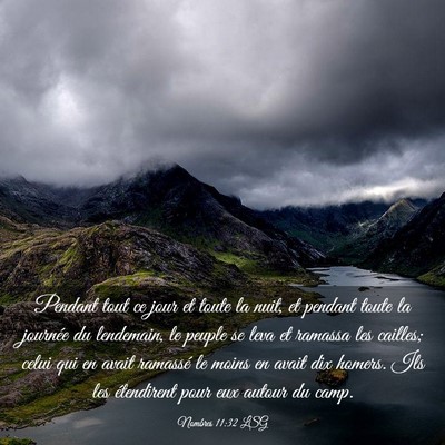 Picture 03 - Nombres 11:32 LSG - Pendant tout ce jour et toute la nuit, et pendant - Bible Verse Picture