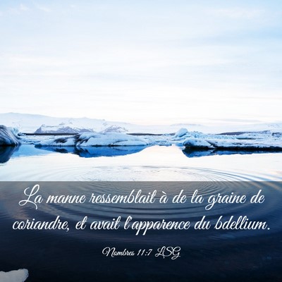 Picture 03 - Nombres 11:7 LSG - La manne ressemblait à de la graine de - Bible Verse Picture