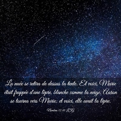 Picture 03 - Nombres 12:10 LSG - La nuée se retira de dessus la tente. Et voici, - Bible Verse Picture