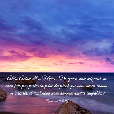 Picture 03 - Nombres 12:11 LSG - Alors Aaron dit à Moïse: De grâce, mon - Bible Verse Picture