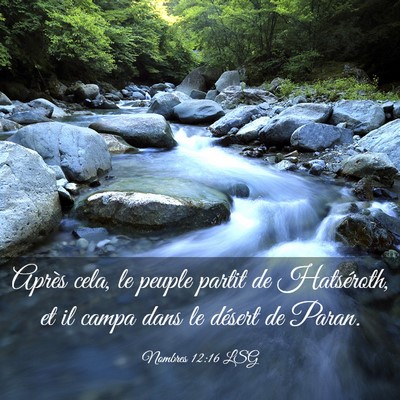 Picture 03 - Nombres 12:16 LSG - Après cela, le peuple partit de Hatséroth, et - Bible Verse Picture