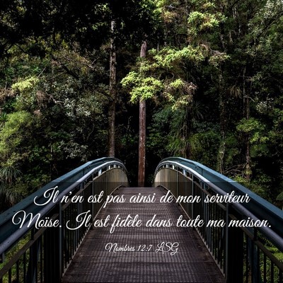 Picture 03 - Nombres 12:7 LSG - Il n'en est pas ainsi de mon serviteur Moïse. Il - Bible Verse Picture