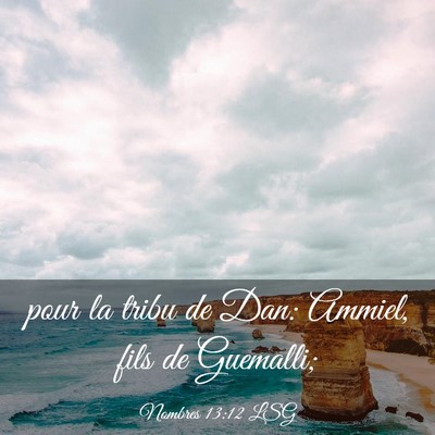 Picture 03 - Nombres 13:12 LSG - pour la tribu de Dan: Ammiel, fils de - Bible Verse Picture
