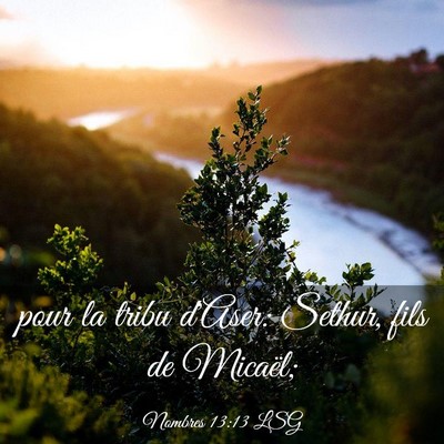 Picture 03 - Nombres 13:13 LSG - pour la tribu d'Aser: Sethur, fils de - Bible Verse Picture