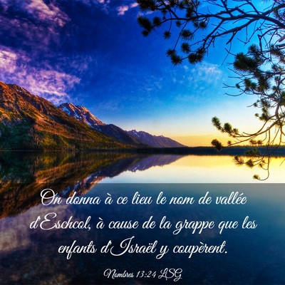 Picture 03 - Nombres 13:24 LSG - On donna à ce lieu le nom de vallée d'Eschcol, - Bible Verse Picture