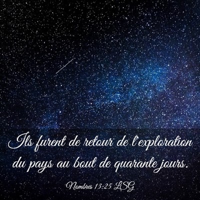 Picture 03 - Nombres 13:25 LSG - Ils furent de retour de l'exploration du pays au - Bible Verse Picture