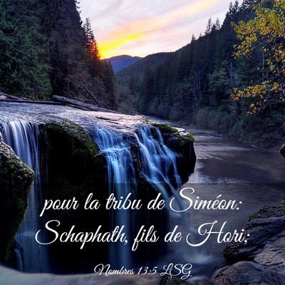 Picture 03 - Nombres 13:5 LSG - pour la tribu de Siméon: Schaphath, fils de - Bible Verse Picture