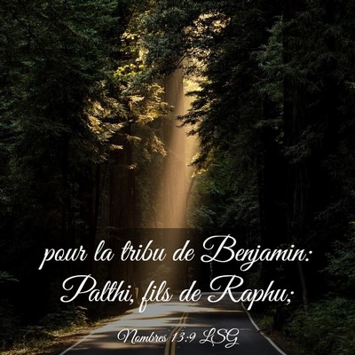 Picture 03 - Nombres 13:9 LSG - pour la tribu de Benjamin: Palthi, fils de - Bible Verse Picture