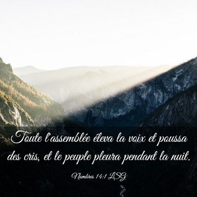 Picture 03 - Nombres 14:1 LSG - Toute l'assemblée éleva la voix et poussa des - Bible Verse Picture