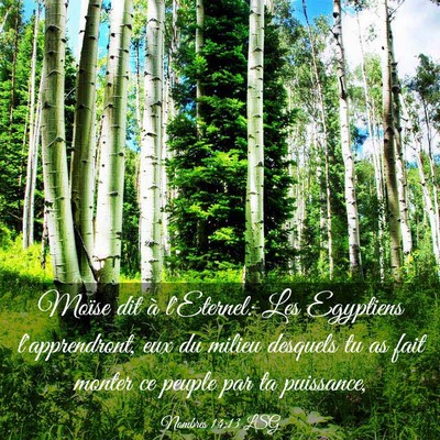 Picture 03 - Nombres 14:13 LSG - Moïse dit à l'Eternel: Les Egyptiens - Bible Verse Picture