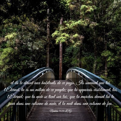 Picture 03 - Nombres 14:14 LSG - et ils le diront aux habitants de ce pays. Ils - Bible Verse Picture