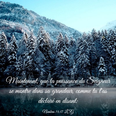 Picture 03 - Nombres 14:17 LSG - Maintenant, que la puissance du Seigneur se - Bible Verse Picture