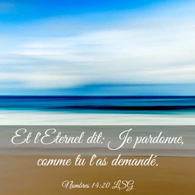 Picture 03 - Nombres 14:20 LSG - Et l'Eternel dit: Je pardonne, comme tu l'as - Bible Verse Picture
