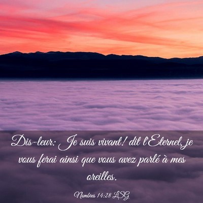 Picture 03 - Nombres 14:28 LSG - Dis-leur: Je suis vivant! dit l'Eternel, je vous - Bible Verse Picture