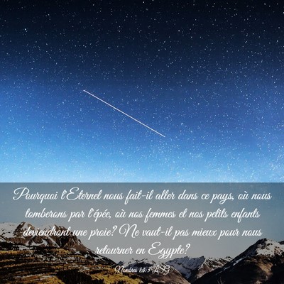 Picture 03 - Nombres 14:3 LSG - Pourquoi l'Eternel nous fait-il aller dans ce - Bible Verse Picture