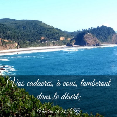 Picture 03 - Nombres 14:32 LSG - Vos cadavres, à vous, tomberont dans le - Bible Verse Picture